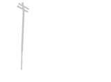 Dr. João Dores Carvalho